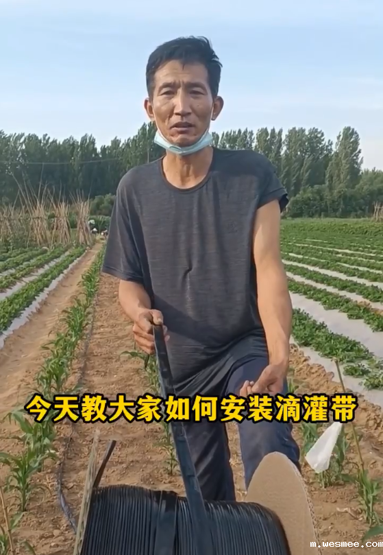 米兰电竞下载入口贴片滴灌带安装