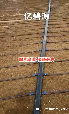 贴片滴灌以及旁通开关