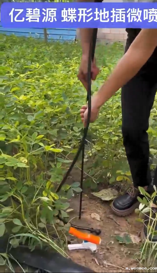 蝶形地插微喷