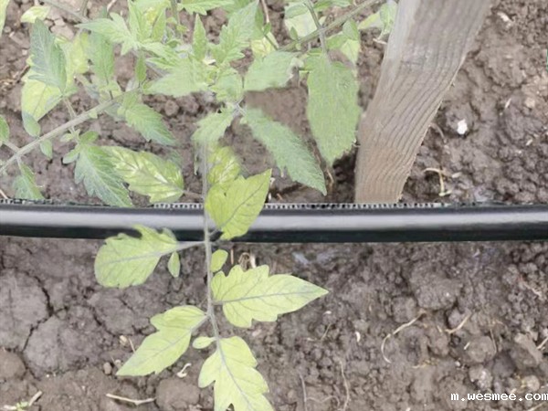 迷宫滴灌带厂家