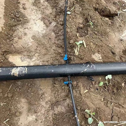 江西迷宫滴灌带厂家