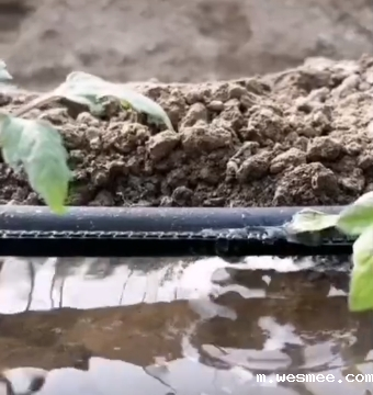 山东米兰电竞下载入口节水设备