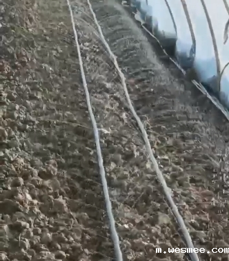 菏泽微喷带厂家