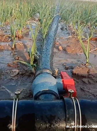 山东微喷带厂家